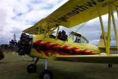 Fur's Tiger Moth Flight