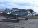 Mustang Flight