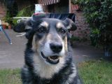 Petra - died, March 2004