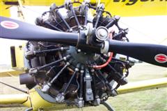 "Tiger Cat" 2-passenger, open cockpit bi-plane