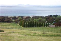 Clifton Springs